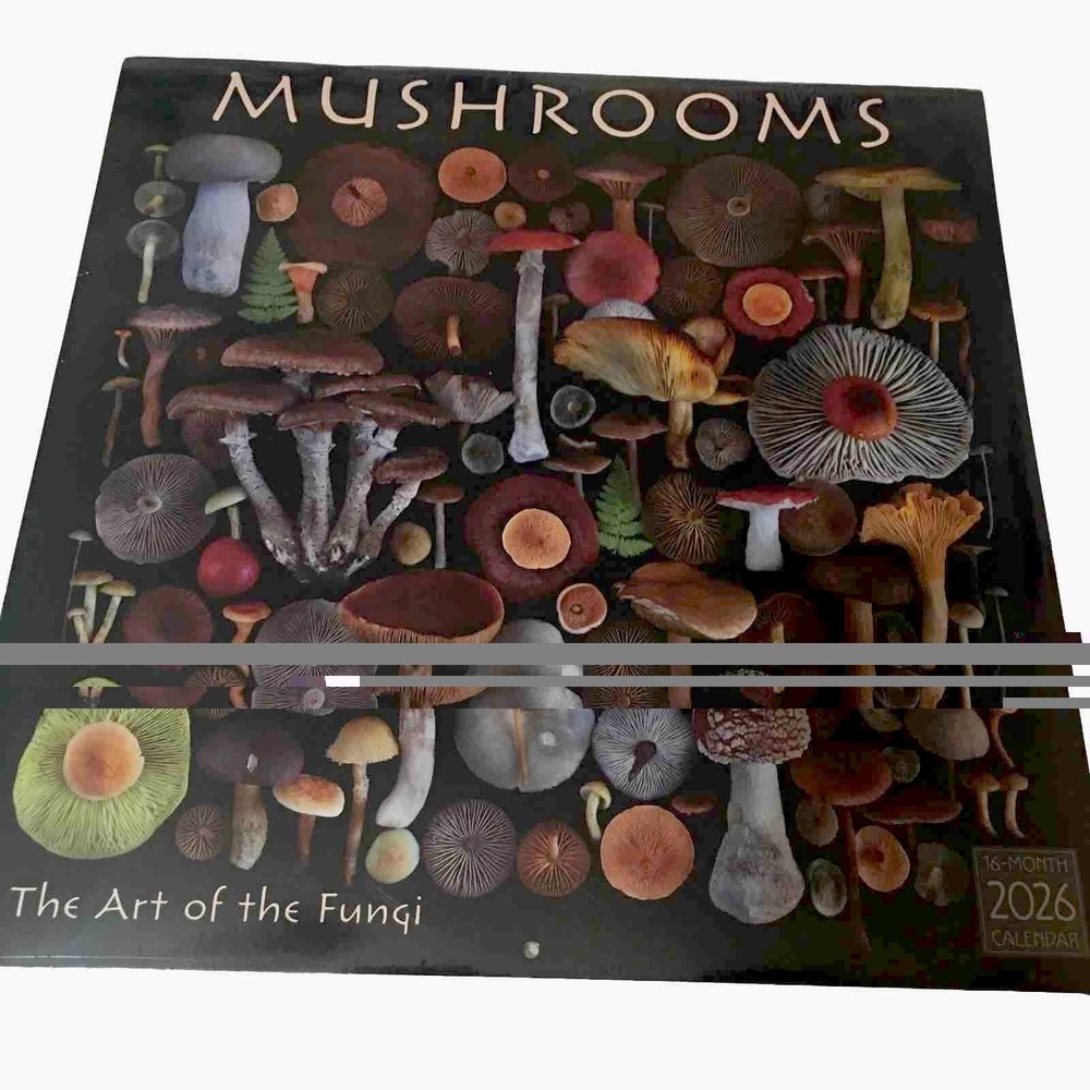 Moritz Schmid Art of the Mushroom 2026 12" x 12" Wall Calendar Sealed